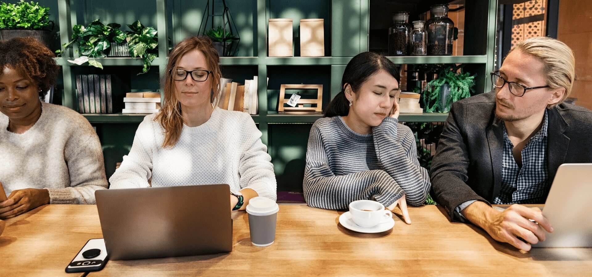 Welcome To Mindseeds and Link LTD